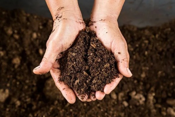 厨余垃圾堆肥后能不能滋养土壤,堆肥后可以作为肥料使用