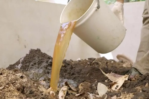 厨余垃圾堆肥后能不能滋养土壤,堆肥后可以作为肥料使用