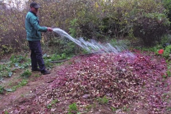 厨余垃圾堆肥后能不能滋养土壤,堆肥后可以作为肥料使用