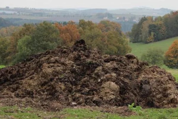 厨余垃圾堆肥后能不能滋养土壤,堆肥后可以作为肥料使用