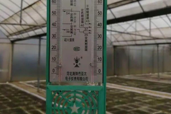 雾霾天气大棚蔬菜的管理方法，一定要科学浇水