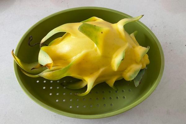 火龙果的种类有哪些，有黄火龙果、白火龙果等