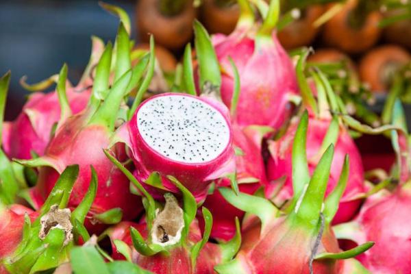 火龙果的种类有哪些，有黄火龙果、白火龙果等