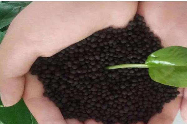 生物有机肥是哪种肥料，是一种特殊的有机肥料