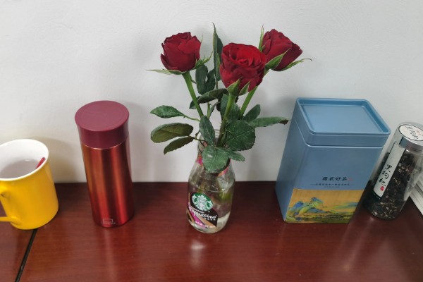 玫瑰花叶片萎蔫的原因，缺光、土壤过碱等因素都会造成