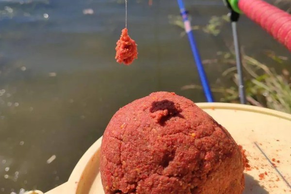 野钓鲤鱼要提前多久打窝，取决于作钓时间