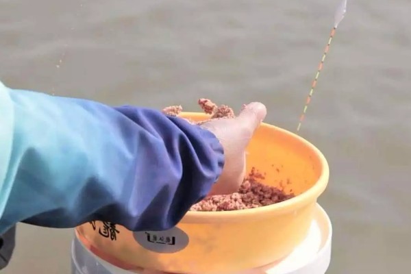 野钓鲤鱼要提前多久打窝，取决于作钓时间