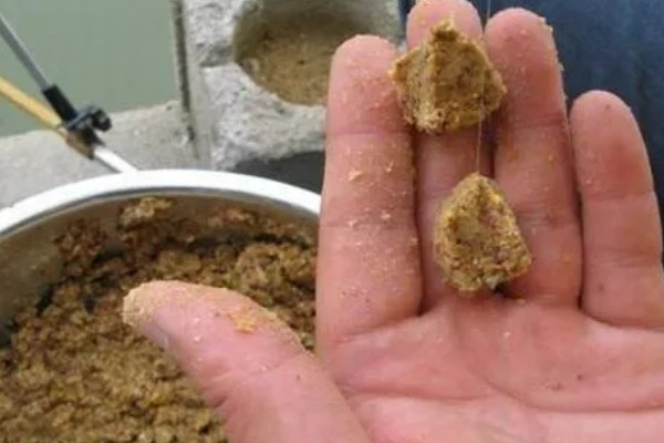 野钓鲤鱼要提前多久打窝，取决于作钓时间