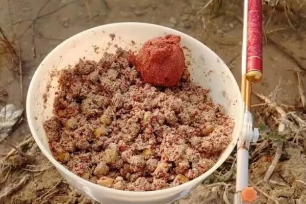 野钓鲤鱼要提前多久打窝，取决于作钓时间