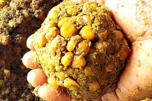 野钓鲤鱼要提前多久打窝，取决于作钓时间