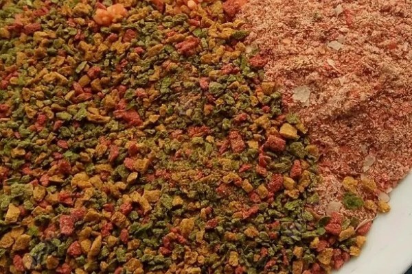 野钓鲤鱼要提前多久打窝，取决于作钓时间