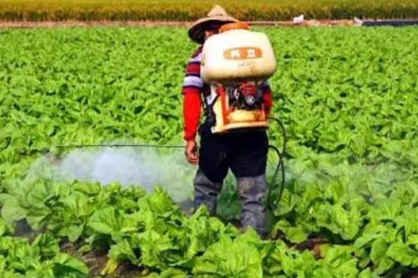 氰戊菊酯的适用作物,广泛使用于苹果、梨、桃等