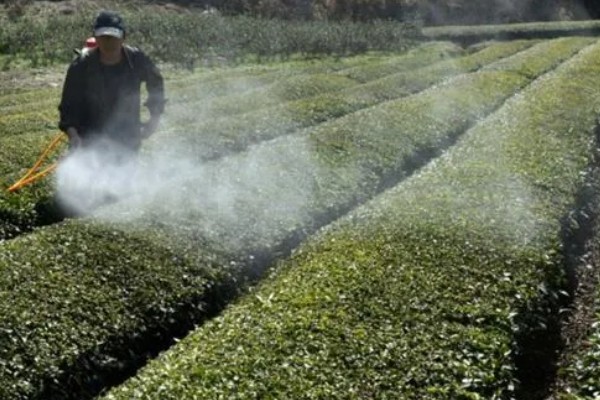 氰戊菊酯的适用作物,广泛使用于苹果、梨、桃等