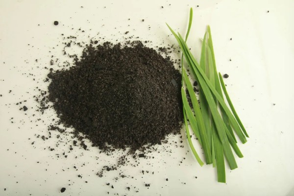 韭菜的种植方法，通常可以在清明前后播种