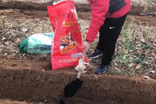 韭菜的种植方法，通常可以在清明前后播种