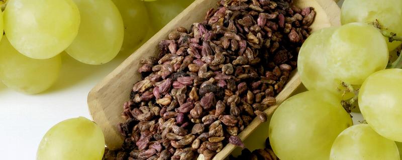 提子籽可以种出提子吗，是可以种出提子来的