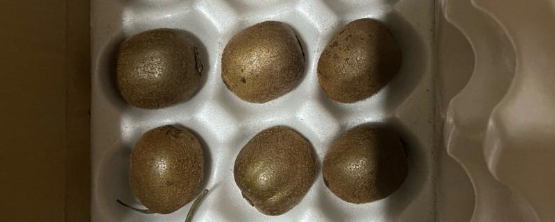 猕猴桃要放软吗，食用前需要放软