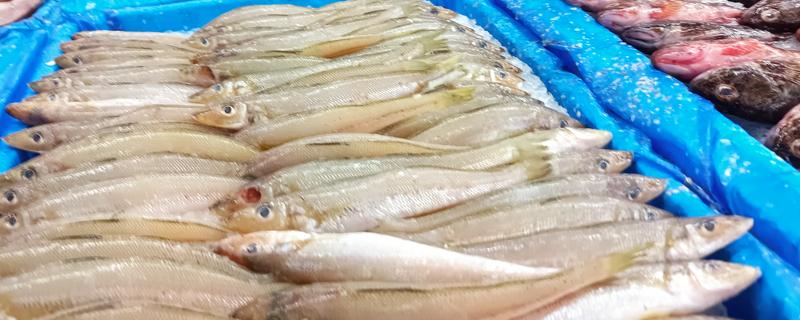 卖鱼的利润，一年可获利10-20万元左右