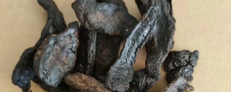 生地黄是不是生地，生地黄是生地