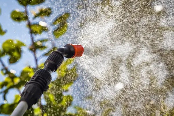 葵花苗前封闭除草剂怎么用，经过二次稀释会更加安全