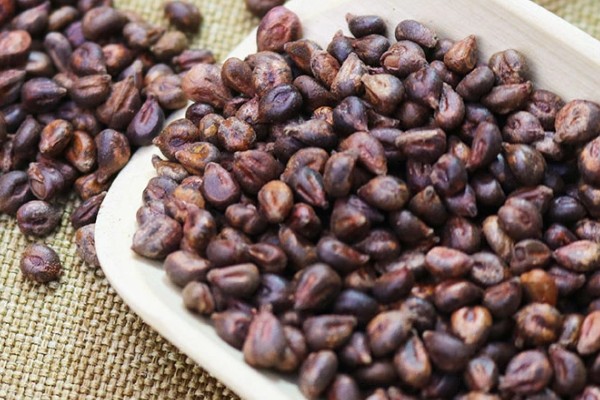 提子籽可以种出提子吗，是可以种出提子来的