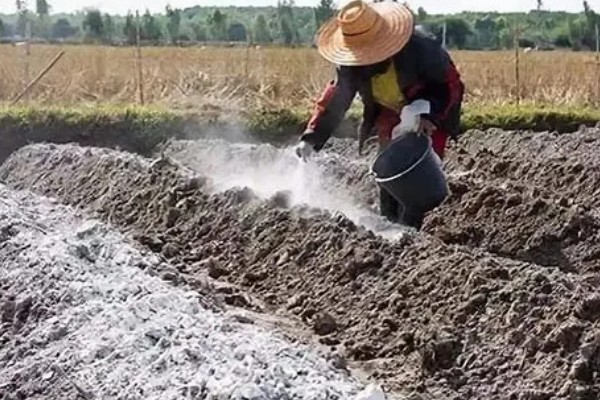 玉米怎么保存到冬天吃,可以煮熟后放冰箱冷冻