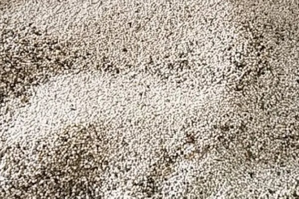 乌桕种子浸泡催芽的方法，放在温水中浸泡8-9个小时