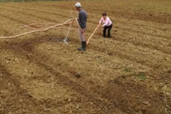 大葱低于多少度就不长，零下5℃就不长了