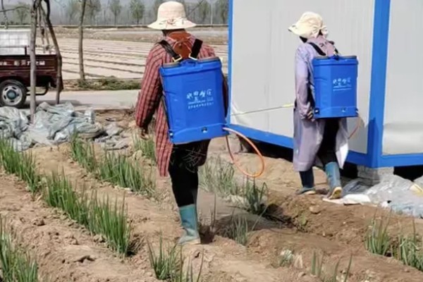 大葱低于多少度就不长，零下5℃就不长了