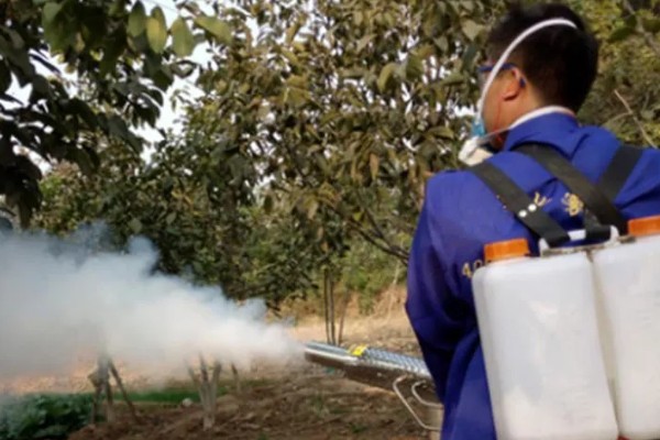 开春清园打哪种药,打噻霉酮、毒死蜱等