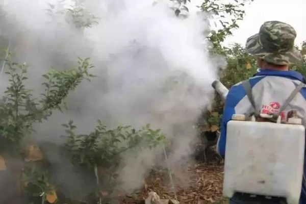 开春清园打哪种药,打噻霉酮、毒死蜱等