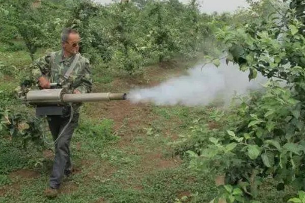 开春清园打哪种药,打噻霉酮、毒死蜱等