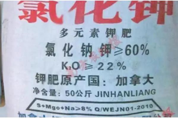 几种常见假化肥，常见的有以下5种