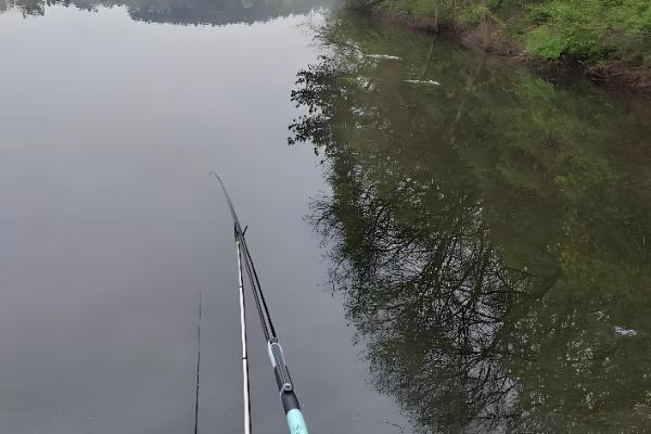 钓鲤鱼的子线是几号，根据鲤鱼体型大小进行调整