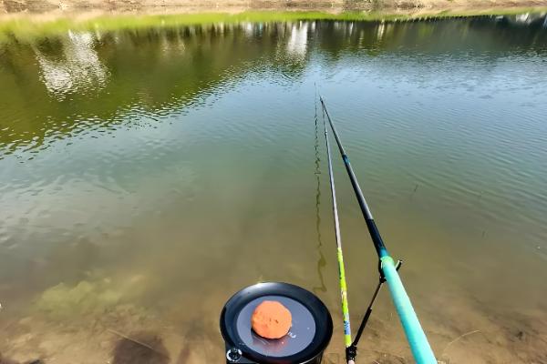 钓鲤鱼的子线是几号，根据鲤鱼体型大小进行调整