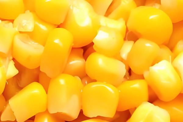 钓鲤鱼的子线是几号，根据鲤鱼体型大小进行调整