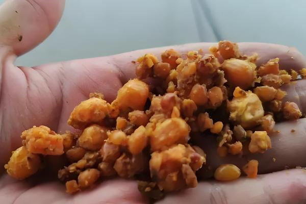 钓鲤鱼的子线是几号，根据鲤鱼体型大小进行调整