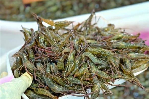 江苏溧阳市的特产,有天目湖白茶、溧阳西瓜等