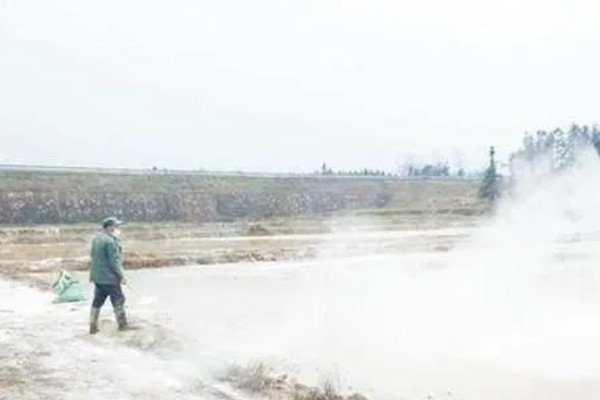 田螺的养殖方法，每隔10-15天撒一次生石灰