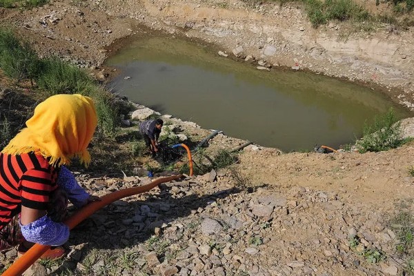 田螺的养殖方法，每隔10-15天撒一次生石灰