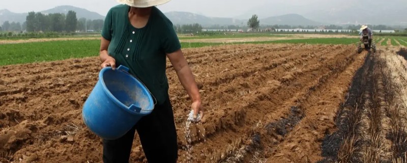 雷雨天气撒化肥的后果，肥料容易随水流失