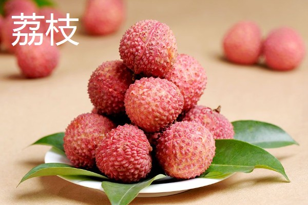 夏至适合送什么花，推荐荷花、桔梗等