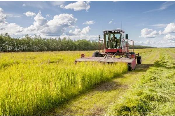 农业包括生产和哪些方面,分别是种植业、畜牧业