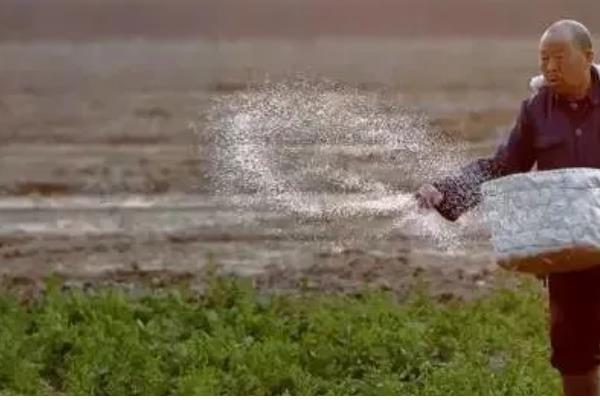 雷雨天气撒化肥的后果,肥料容易随水流失