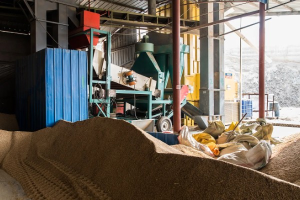 大米何时收割,不同地区的水稻收获时间不同