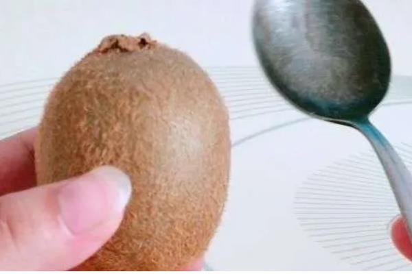 猕猴桃要放软吗，食用前需要放软