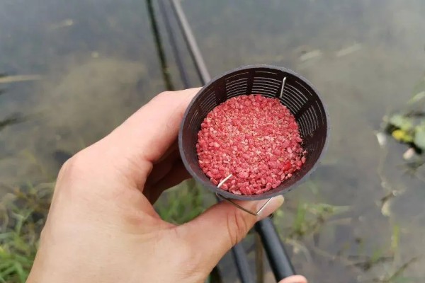 钓鲫鱼用什么窝料打窝最好，用酒米非常合适