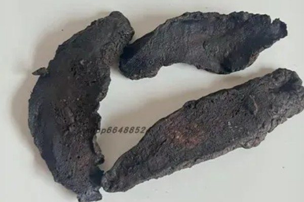 生地黄是不是生地，生地黄是生地