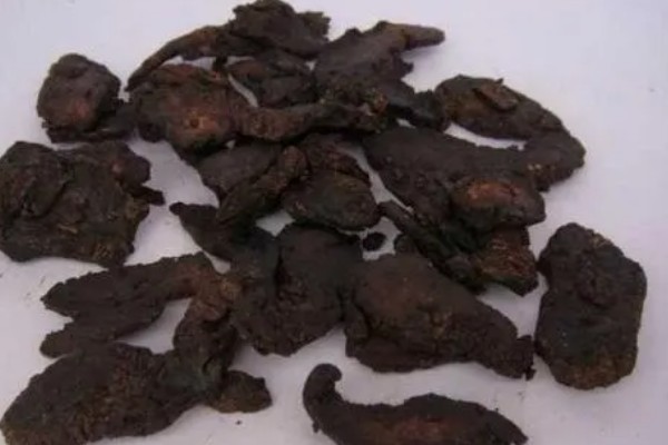 生地黄是不是生地，生地黄是生地