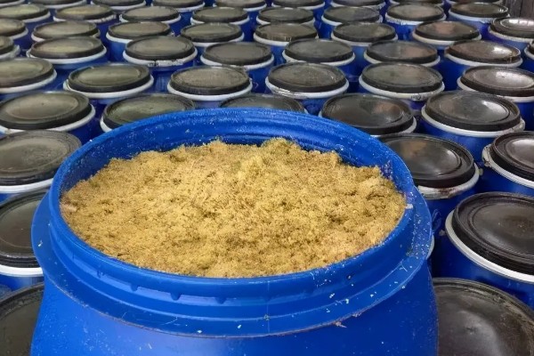 豆腐渣怎么变成肥料，装在容器中并注入清水发酵一段时间